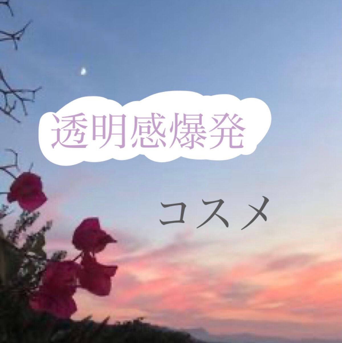 グロウフルールチークス/キャンメイク/パウダーチークを使ったクチコミ(1枚目)