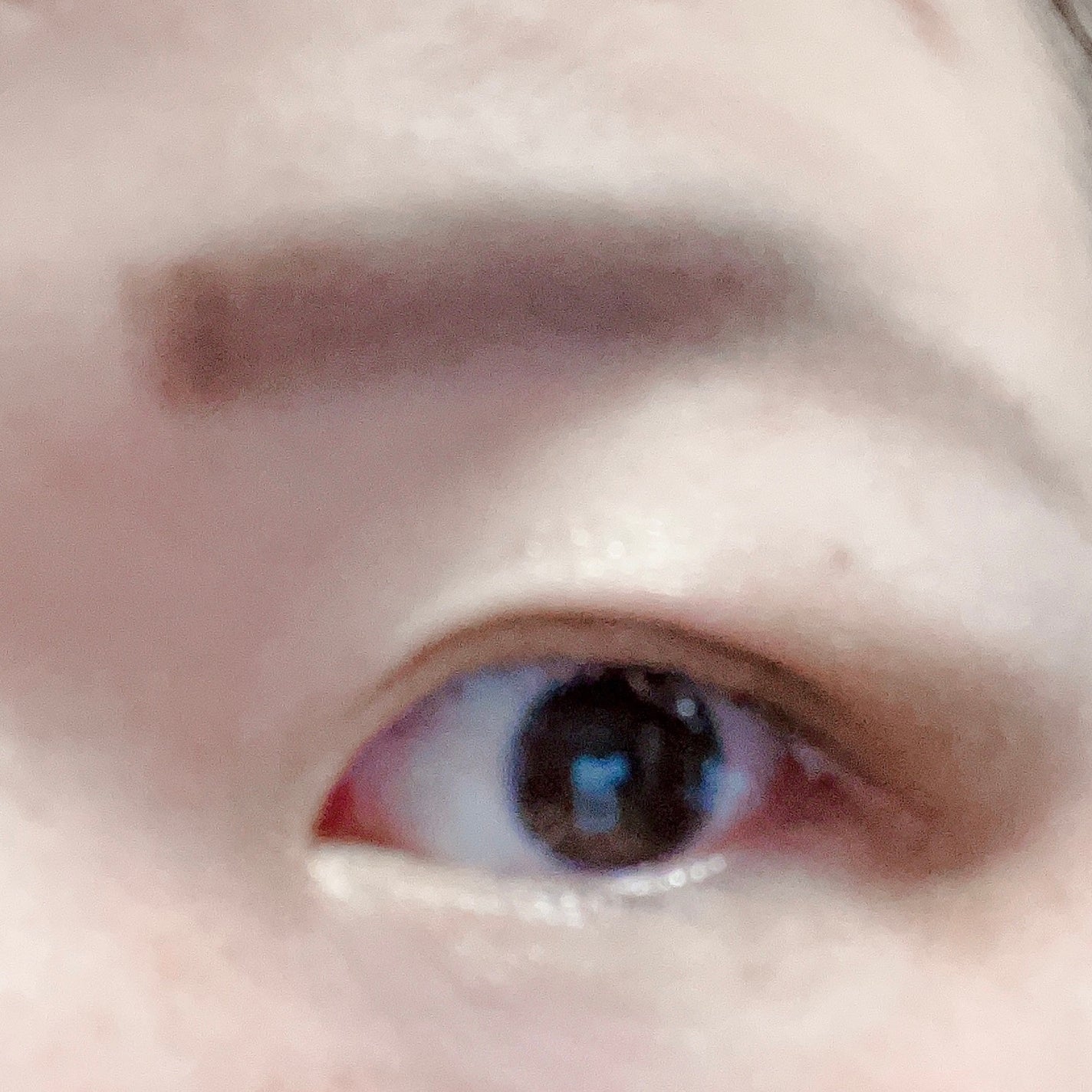 シャルマン・フルラージュ アイシャドウ/Witch's Pouch/アイシャドウパレットを使ったクチコミ(5枚目)