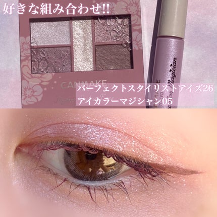アイカラーマジシャン/キャンメイク/アイシャドウを使ったクチコミ(3枚目)