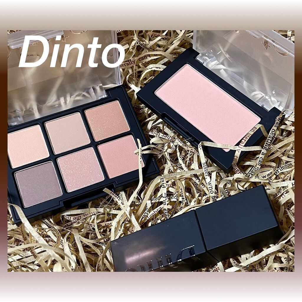 ブラーフィニシュシャドウパレット/Dinto/アイシャドウパレットを使ったクチコミ(1枚目)