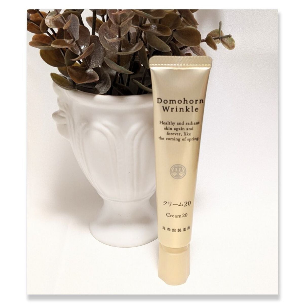 クリーム20/ドモホルンリンクル/フェイスクリームを使ったクチコミ(1枚目)