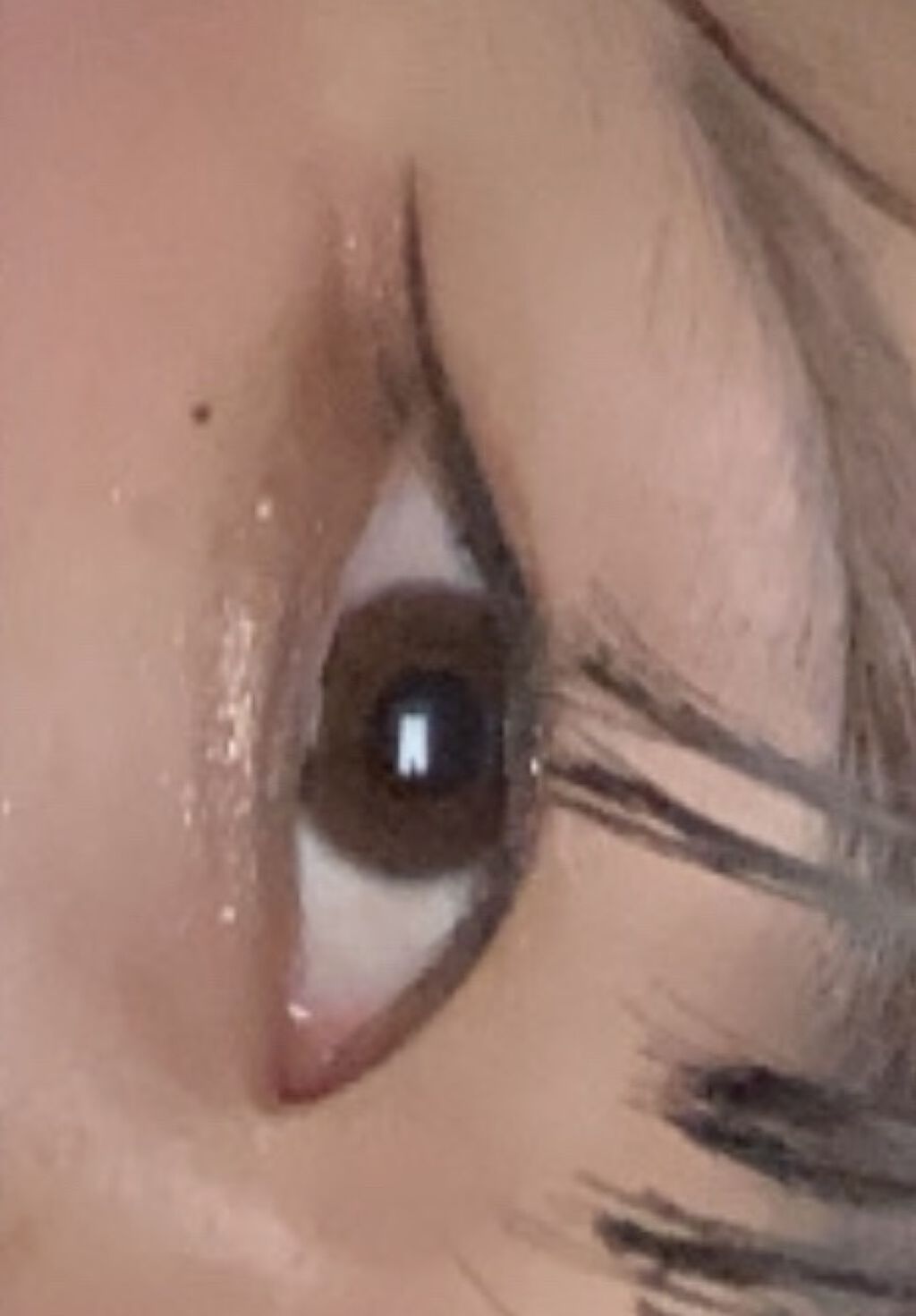 パーフェクトスタイリストアイズ/キャンメイク/アイシャドウパレットを使ったクチコミ（2枚目）