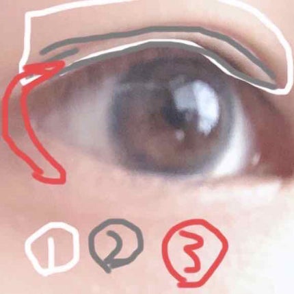 【旧品】パーフェクトスタイリストアイズ/キャンメイク/アイシャドウパレットを使ったクチコミ(2枚目)