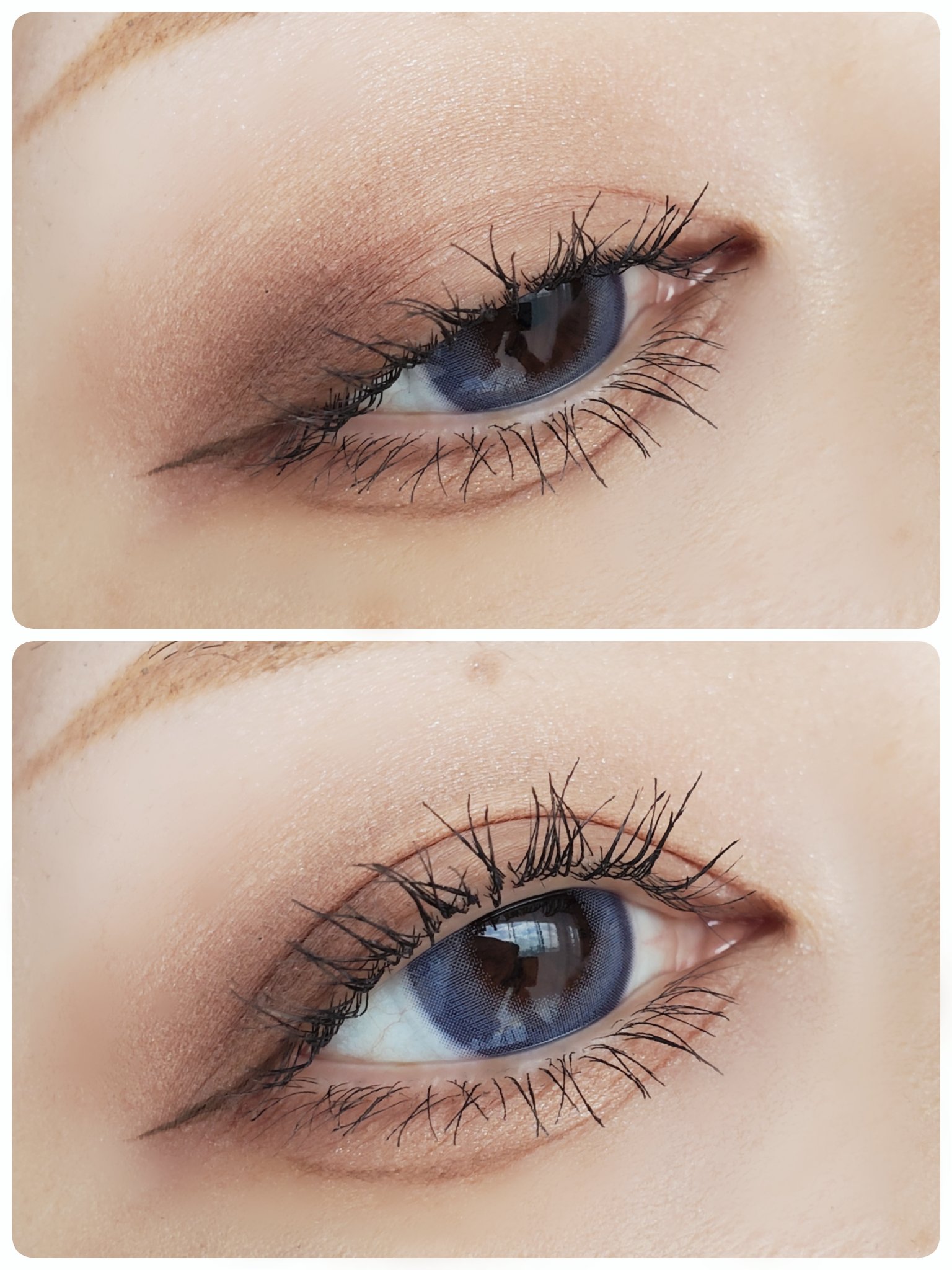 TeAmo 1DAY ダス ブルージュ Dus Bluege/TeAmo/ワンデー（１DAY）カラコンを使ったクチコミ（1枚目）