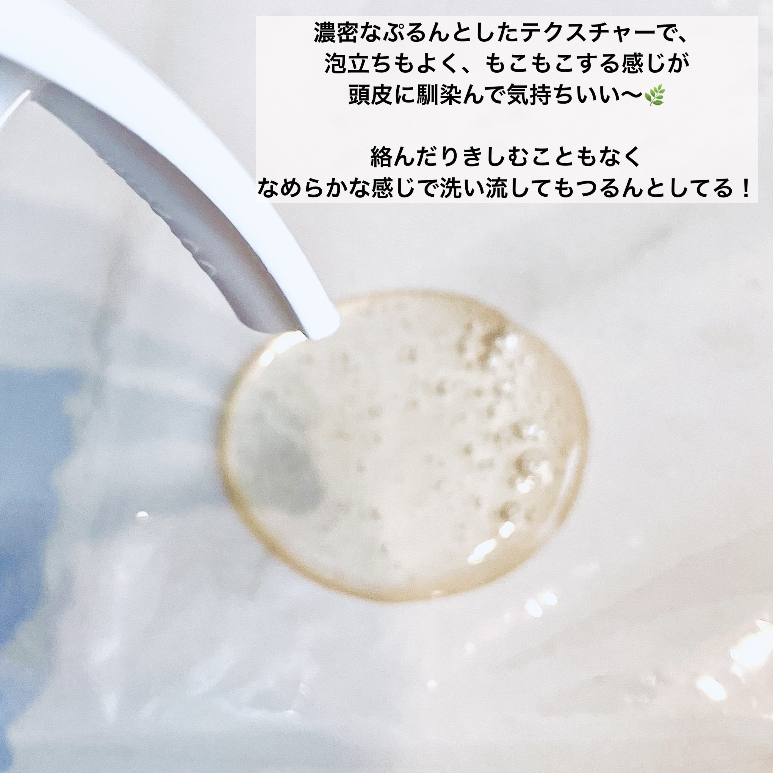 STEMS RICH PREMIUM/NILPA/市販シャンプーを使ったクチコミ（2枚目）