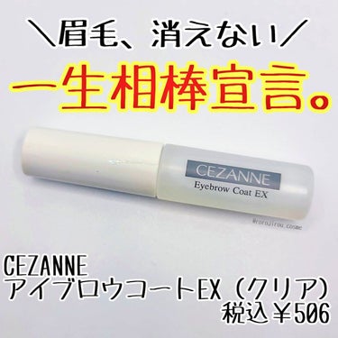 アイブロウコートEX クリア/CEZANNE/アイブロウコートを使ったクチコミ（1枚目）