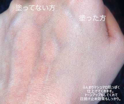 毛穴パテ職人 毛穴崩れブロック下地/毛穴パテ職人/化粧下地を使ったクチコミ(3枚目)