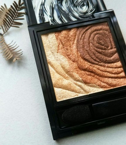 ダークローズシャドウ/KATE/アイシャドウパレットを使ったクチコミ(2枚目)