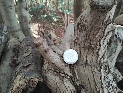 mcgroupakiko on LIPS 「昨日は、10年以上続けている山歩き。自然の香りを、胸いっぱいに..」(4枚目)