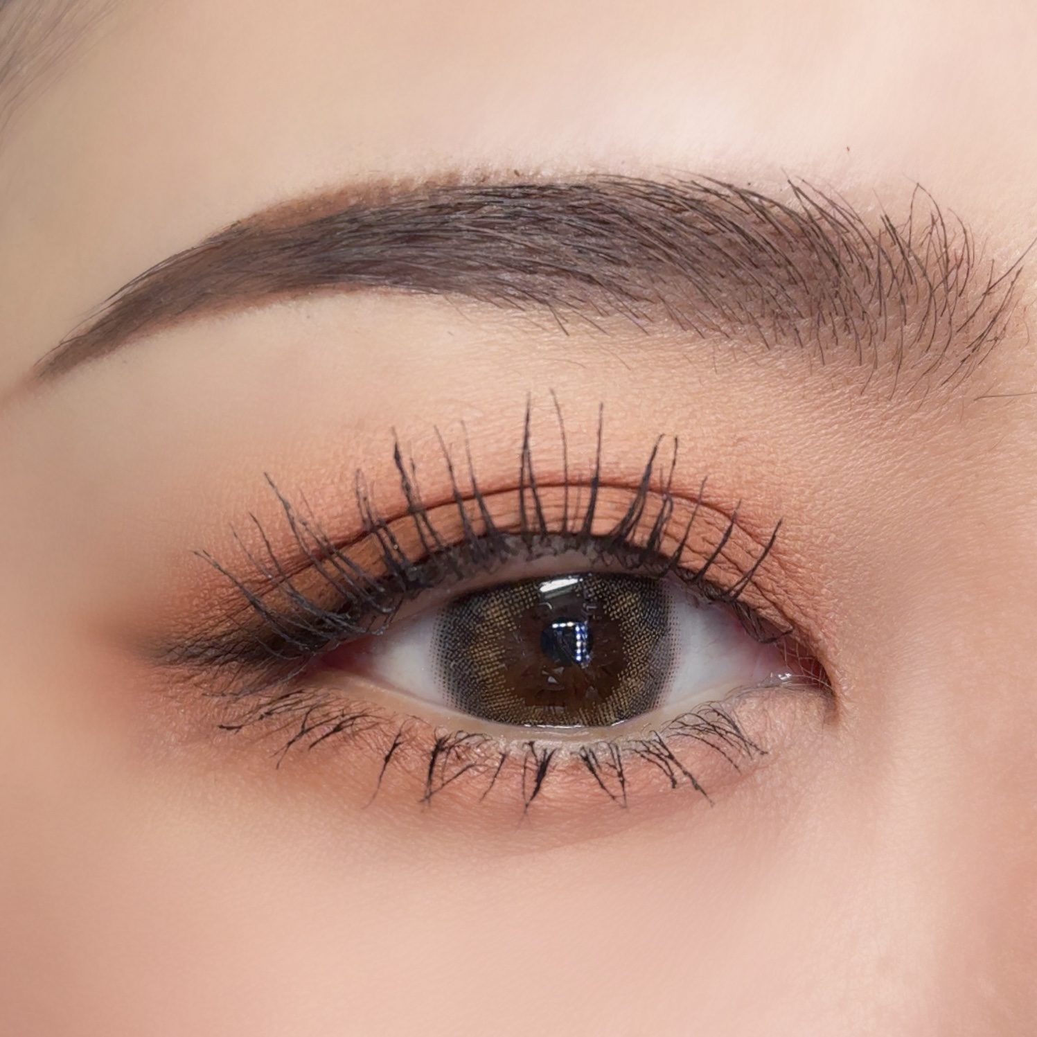 プロ ロングウェア ペイント ポット/M・A・C/ジェル・クリームアイシャドウを使ったクチコミ（2枚目）