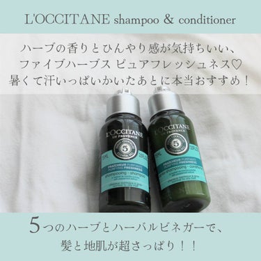 ファイブハーブス ピュアフレッシュネス シャンプー／コンディショナー/L'OCCITANE/シャンプー・コンディショナーを使ったクチコミ（2枚目）