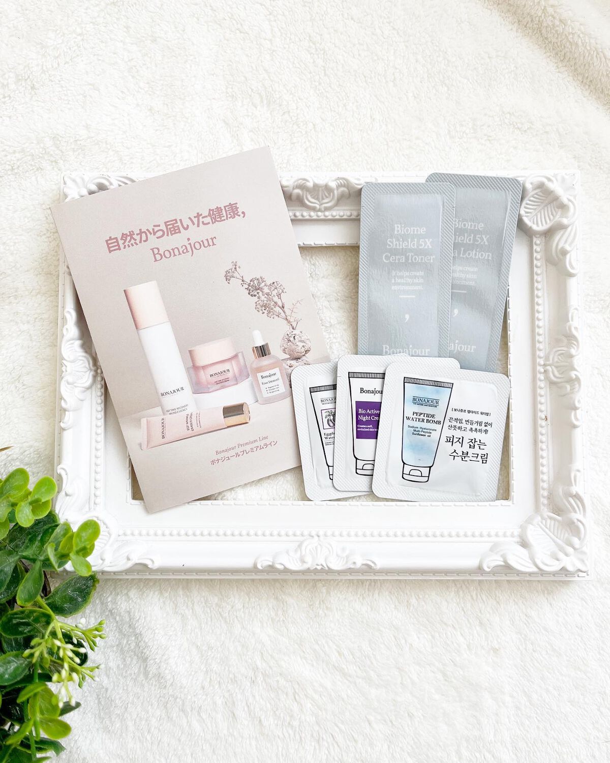 グリーンティーウォーターボム/Bonajour/フェイスクリームを使ったクチコミ(7枚目)