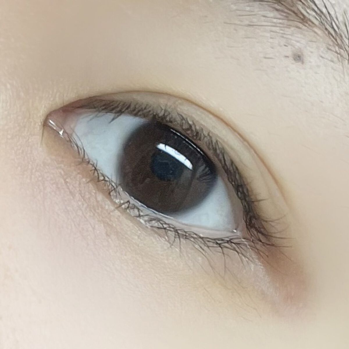 U.P.D. 1day/U.P.D./ワンデー（１DAY）カラコンを使ったクチコミ（3枚目）