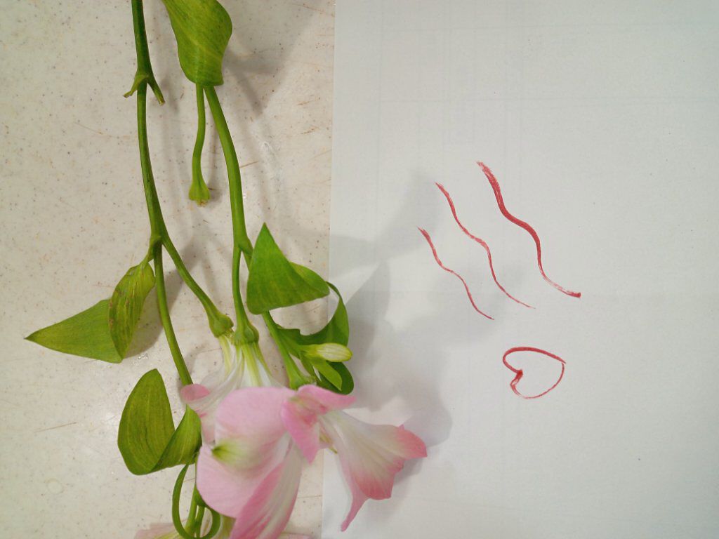 モテライナー リキッド チェリーチーク/UZU BY FLOWFUSHI/リキッドアイライナーを使ったクチコミ（2枚目）