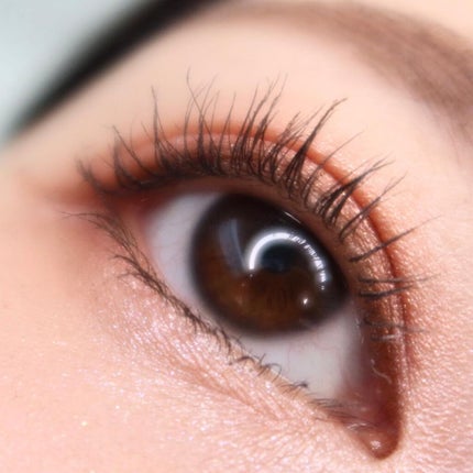 エクスプローラ12色 動物アイシャドウパレット/PERFECT DIARY/アイシャドウパレットを使ったクチコミ(9枚目)