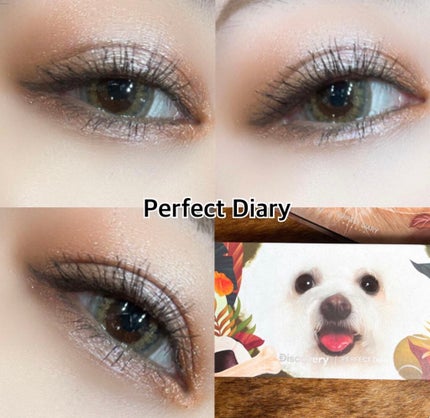 エクスプローラ12色 動物アイシャドウパレット/PERFECT DIARY/アイシャドウパレットを使ったクチコミ(1枚目)