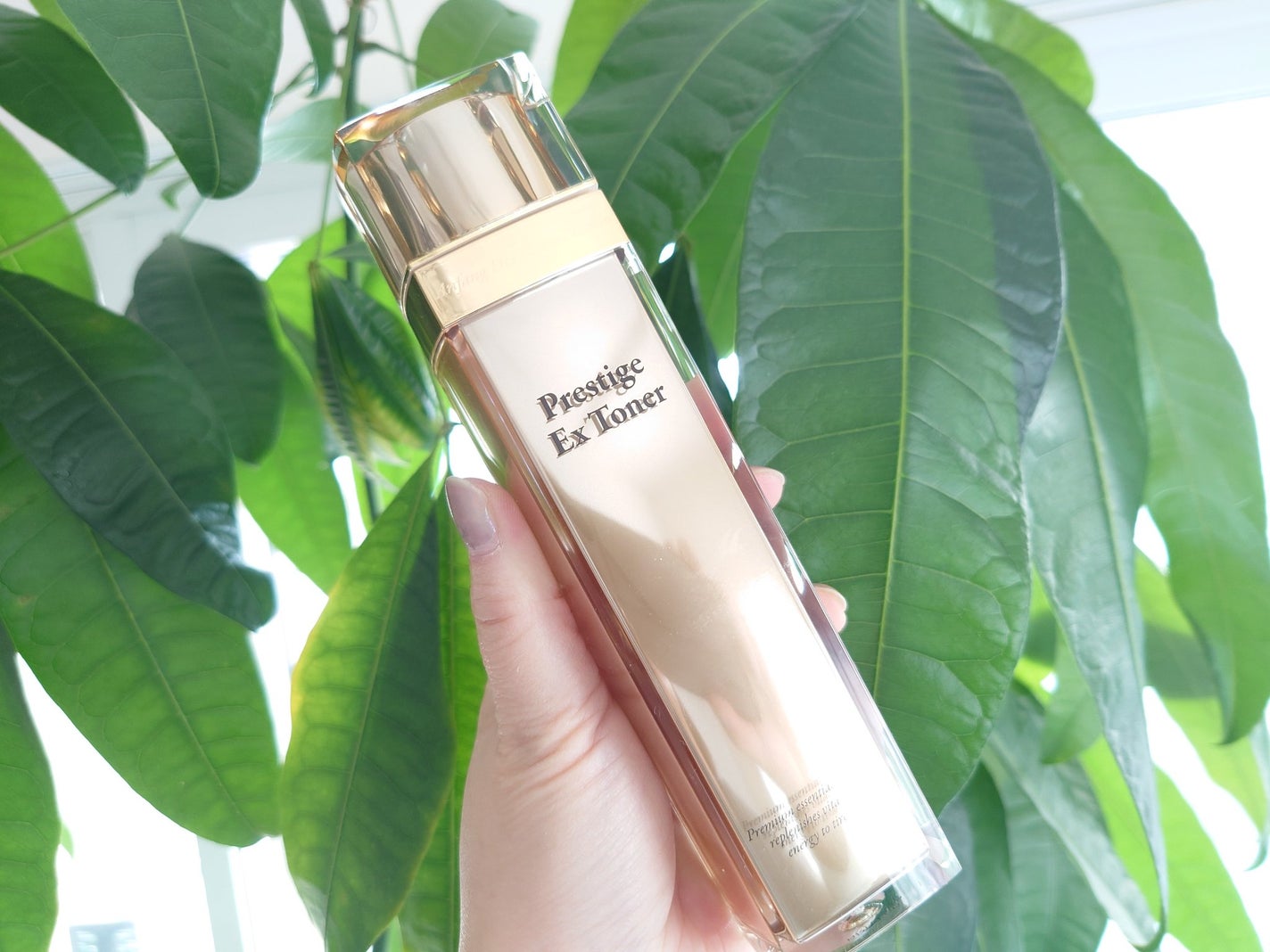 プレステージExトナー/エルツティン/化粧水を使ったクチコミ(3枚目)