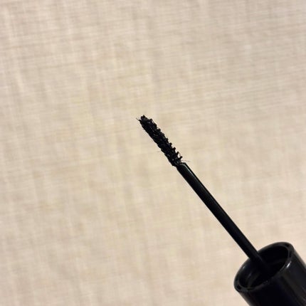 ラッシュガーディアン ナノグラヴィティマスカラ/LASHGUARDIAN/マスカラを使ったクチコミ(4枚目)