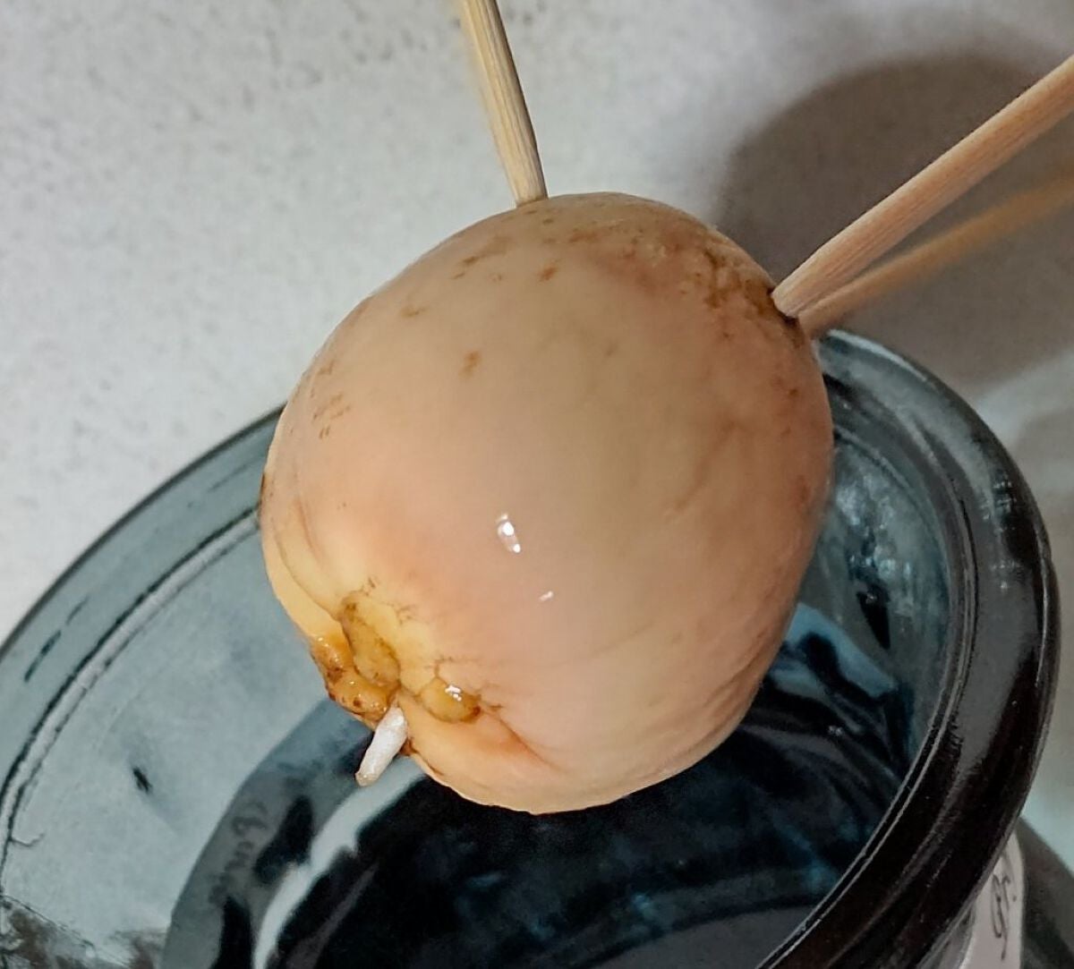 ガラス花瓶/DAISO/その他を使ったクチコミ(1枚目)