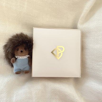 トランスルーシェントブルーリング ルースパウダー/PERFECT DIARY/ルースパウダーを使ったクチコミ(3枚目)