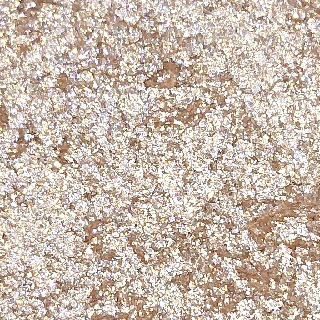 セルフィーフィックスピグメント/Witch's Pouch/単色アイシャドウを使ったクチコミ(4枚目)