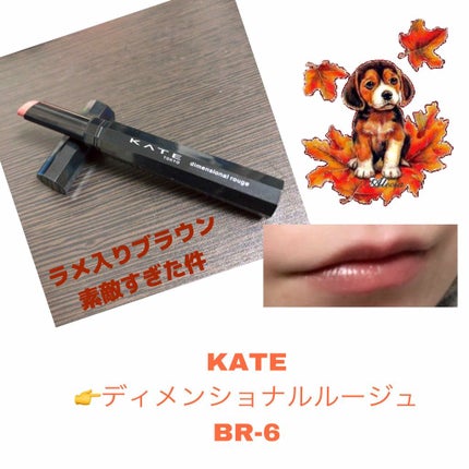 ディメンショナルルージュ/KATE/口紅を使ったクチコミ(1枚目)