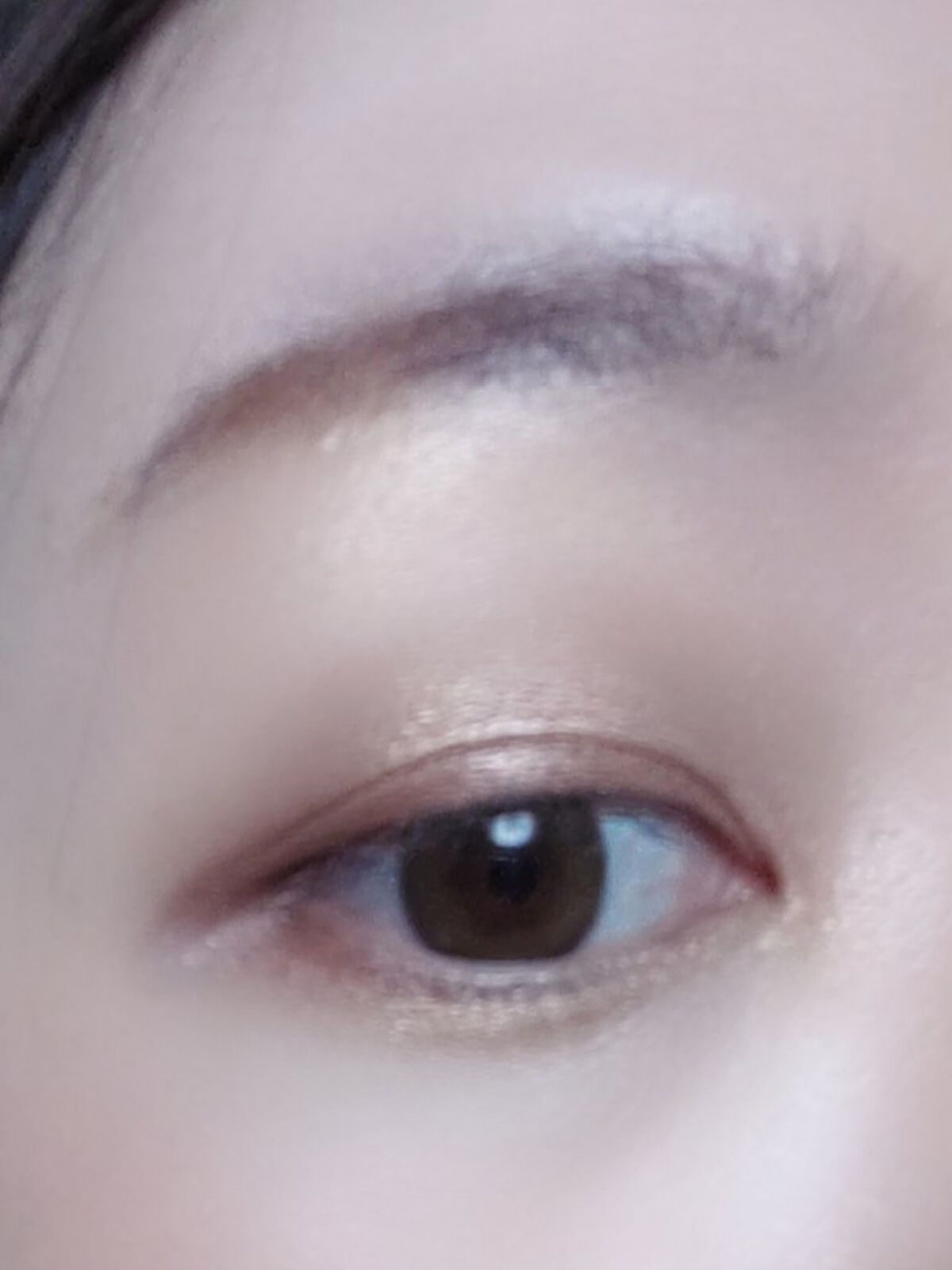 【旧】サンク クルール クチュール/Dior/アイシャドウパレットを使ったクチコミ（2枚目）