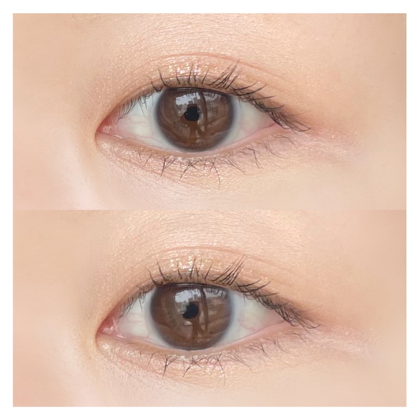 (ルシャブートコレクション)チーク&アイ マルチユーズ パレット/Dinto/パウダーチークを使ったクチコミ(1枚目)