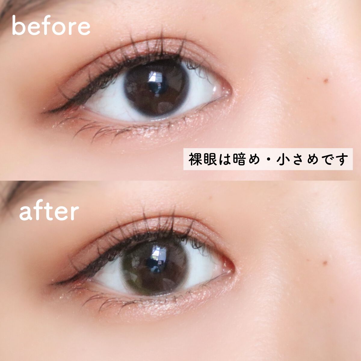 BELLSiQUE 1day/ベルシーク/ワンデー(1DAY)カラコンを使ったクチコミ(3枚目)