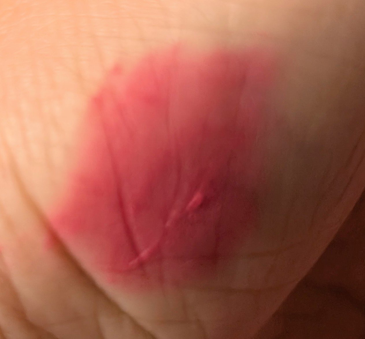 rom&nd ブラーファッジティント 15 ベリフィズ(BERRY FIZZ)/rom&nd/リップティントを使ったクチコミ（2枚目）