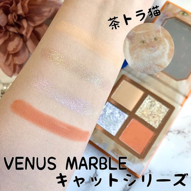 Venus Marble アイシャドウキャットシリーズ/Venus Marble/アイシャドウパレットを使ったクチコミ（3枚目）