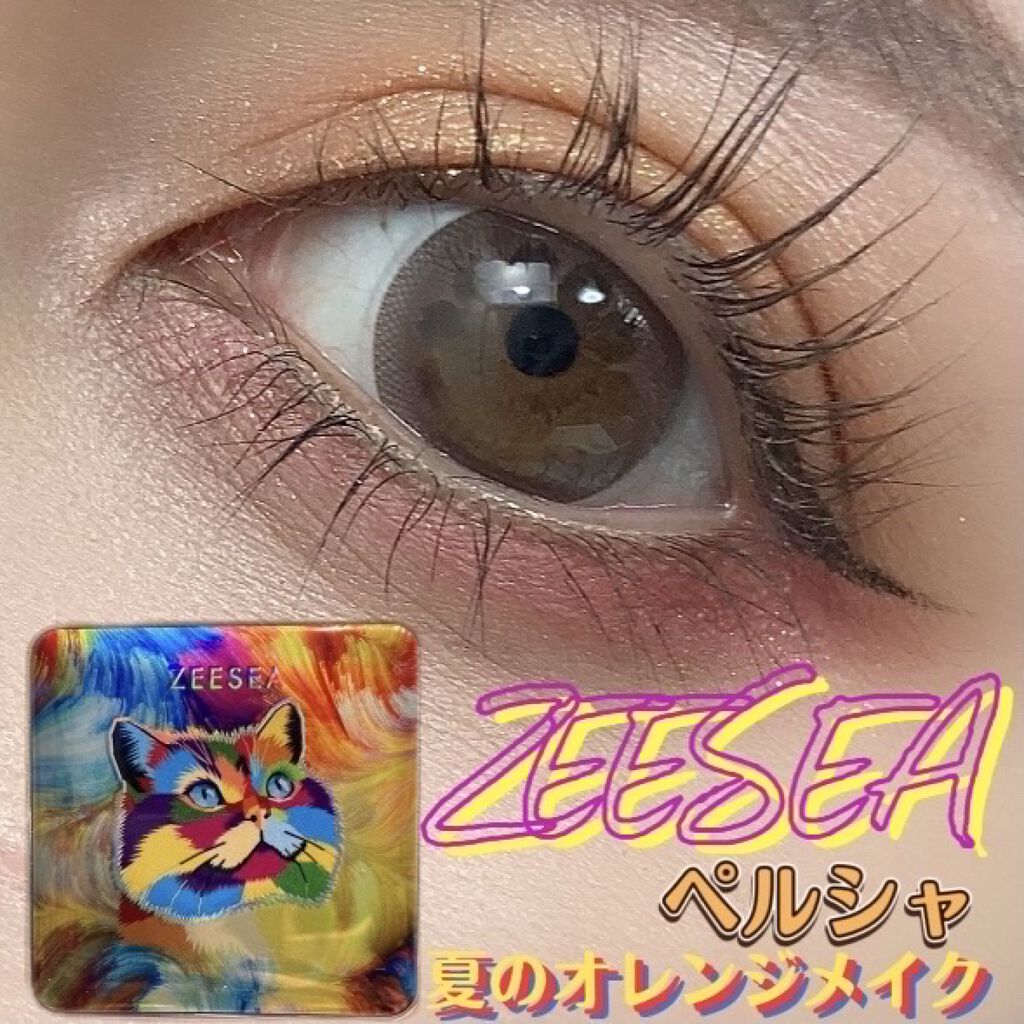 アニマルアイシャドウ(4シェード)/ZEESEA/アイシャドウパレットを使ったクチコミ（1枚目）