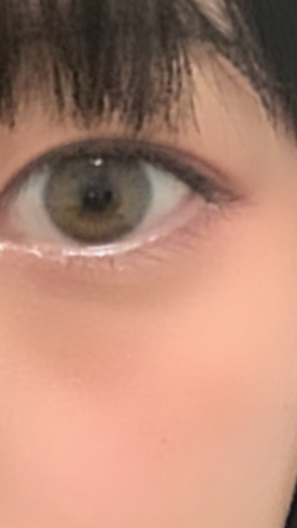 エイリンシリーズ/LENSSIS/カラーコンタクトレンズを使ったクチコミ(1枚目)