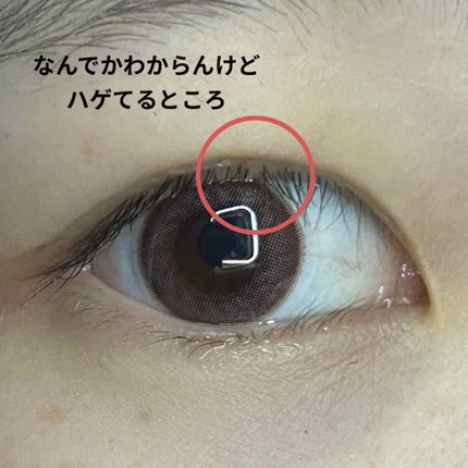 アイラッシュセラム/THE STEM CELL/まつげ美容液を使ったクチコミ(3枚目)