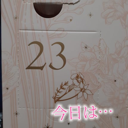 アドベントカレンダー /PEACH JOHN/その他キットセットを使ったクチコミ(2枚目)