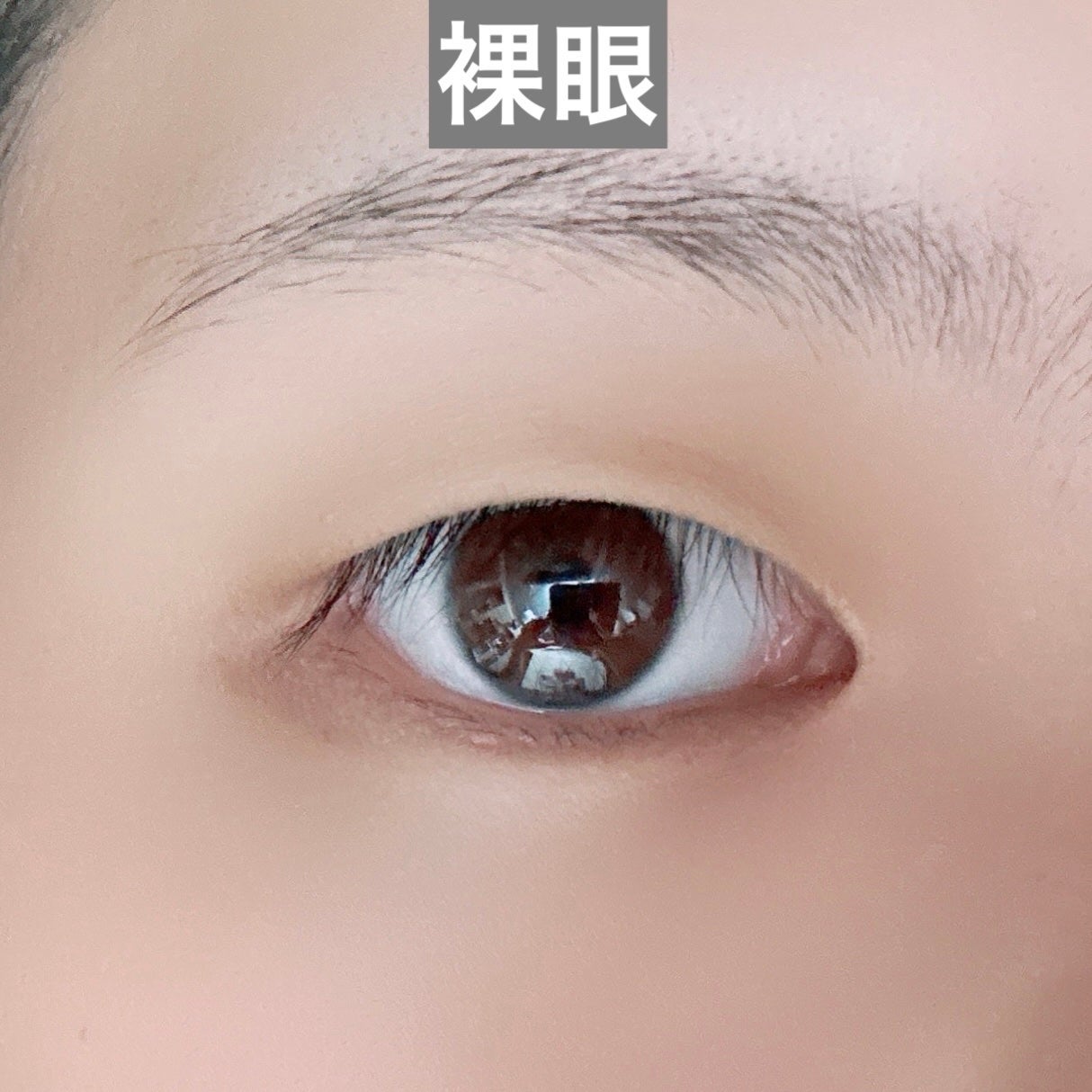 ドルチェコスメティック22色メイクパレット/DOLCEcosmetic/アイシャドウパレットを使ったクチコミ(4枚目)