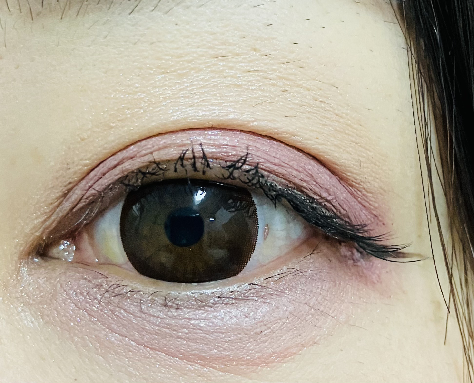 excel アイプランナーパレットのクチコミ「excelアイプランナーパレット ブルームロード

これ最近のお気に入りです！
ピンクとブルー.....」（2枚目）