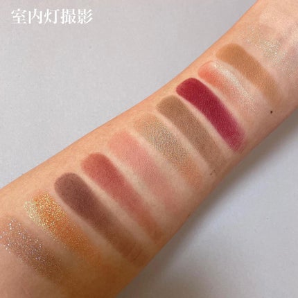 エクスプローラ12色 動物アイシャドウパレット/PERFECT DIARY/アイシャドウパレットを使ったクチコミ(5枚目)