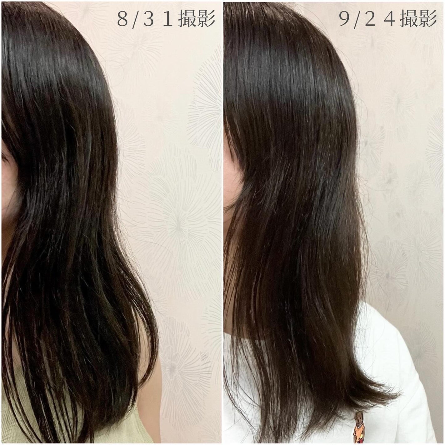 ブルーグロスシャンプー/トリートメント/rasica/市販シャンプーを使ったクチコミ(4枚目)