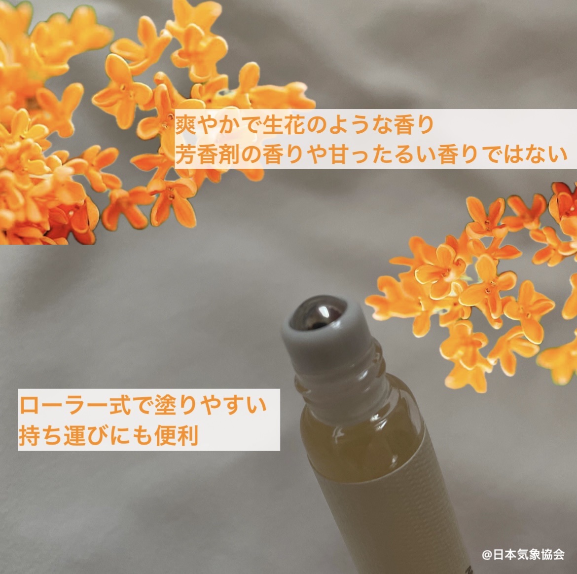 メイクミーハッピー オードトワレ TAUPE/キャンメイク/香水(レディース)を使ったクチコミ（2枚目）