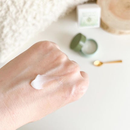 プロテクティブモイストクリーム/BIOFEAT. /フェイスクリームを使ったクチコミ(4枚目)