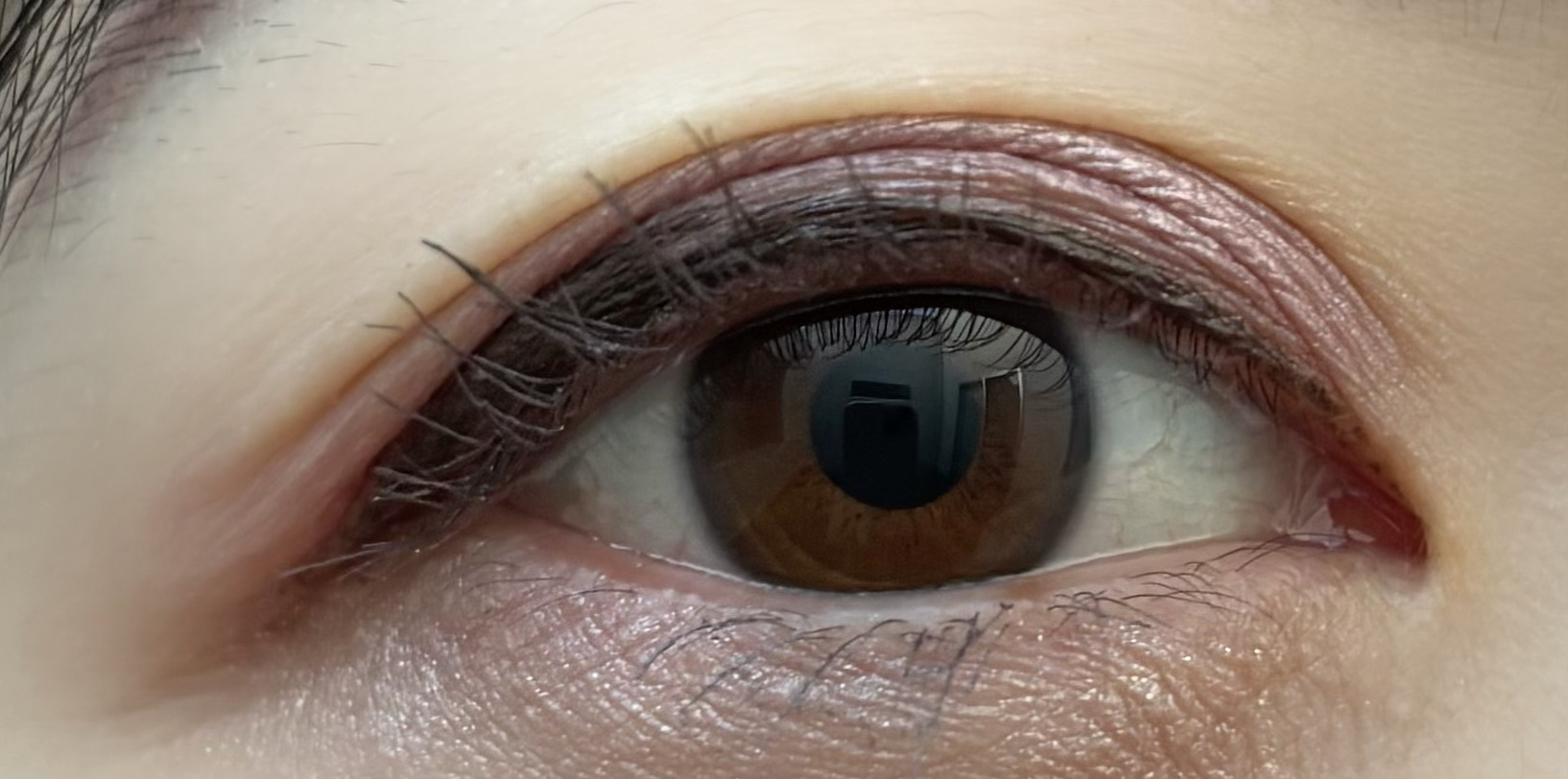 【旧】ディオールショウ サンク クルール（スプリング コレクション 2025 限定品）/Dior/アイシャドウを使ったクチコミ（2枚目）