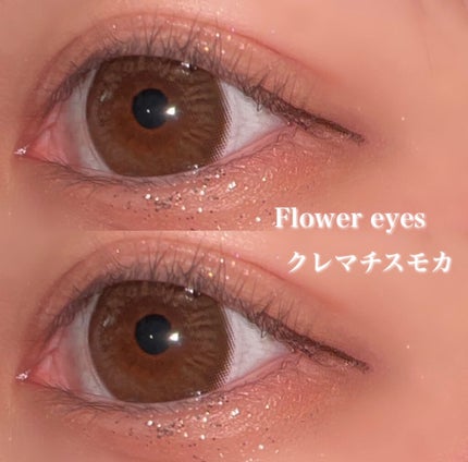 フラワーアイズ ワンデー/株式会社ビューフロンティア/ワンデー(1DAY)カラコンを使ったクチコミ(1枚目)