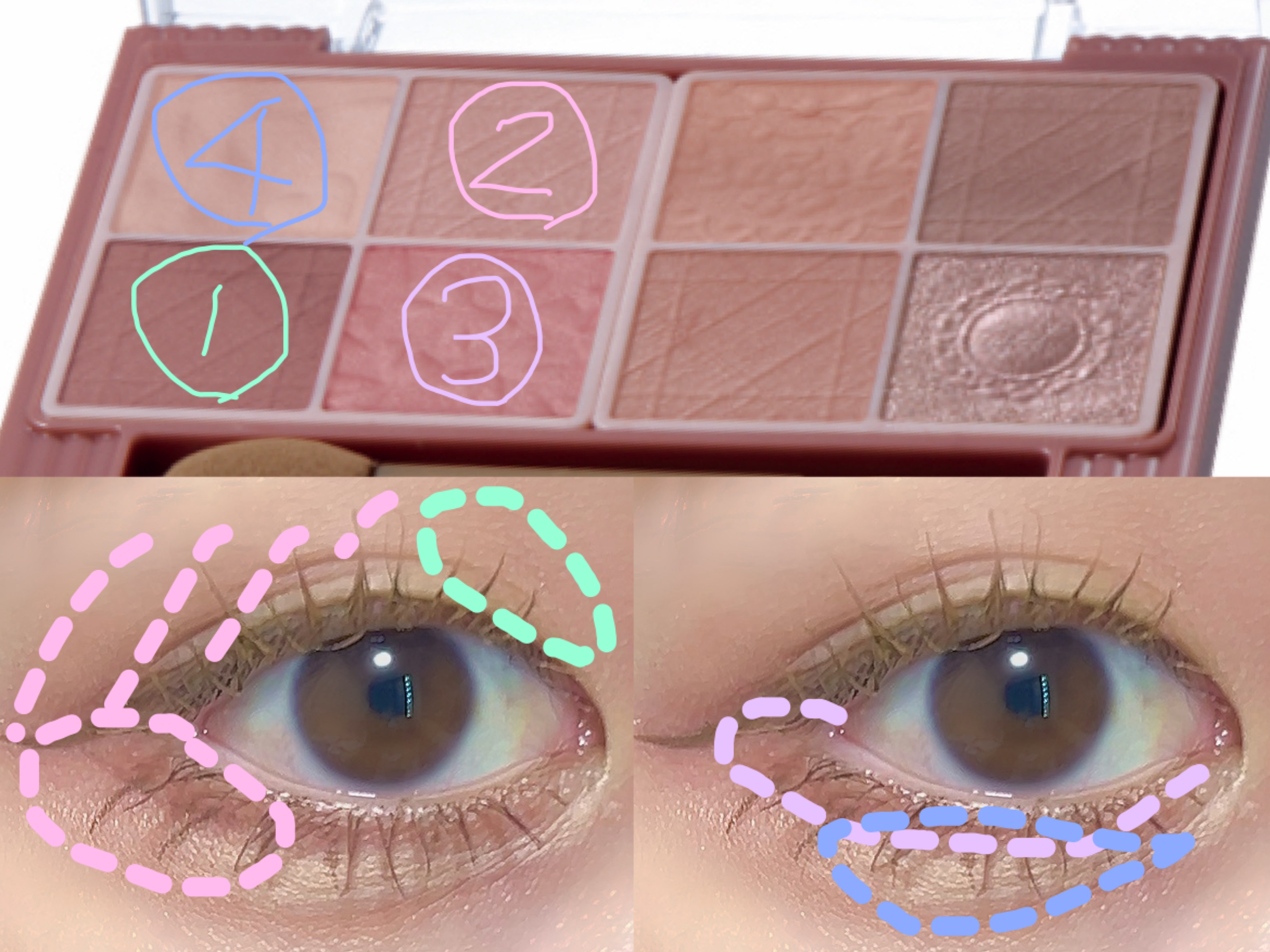 プティパレットアイズ（マットタイプ）/キャンメイク/パウダーアイシャドウを使ったクチコミ（2枚目）