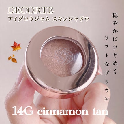 アイグロウジェム スキンシャドウ/DECORTÉ/ジェル・クリームアイシャドウを使ったクチコミ(1枚目)