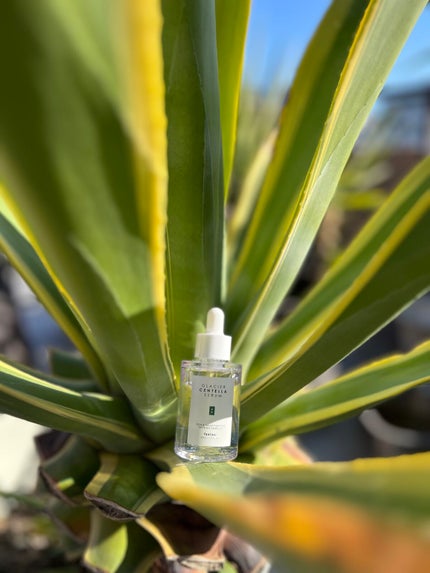 GLACIER CENTELLA SERUM /feelxo/美容液を使ったクチコミ(3枚目)