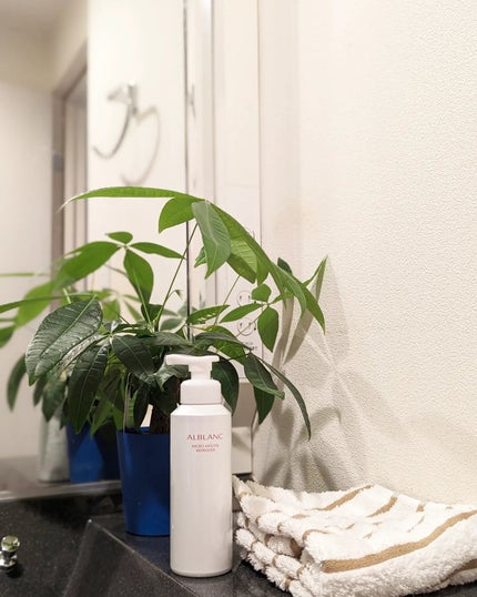 マイクロムース リフレッシャー/ALBLANC/泡洗顔を使ったクチコミ(1枚目)