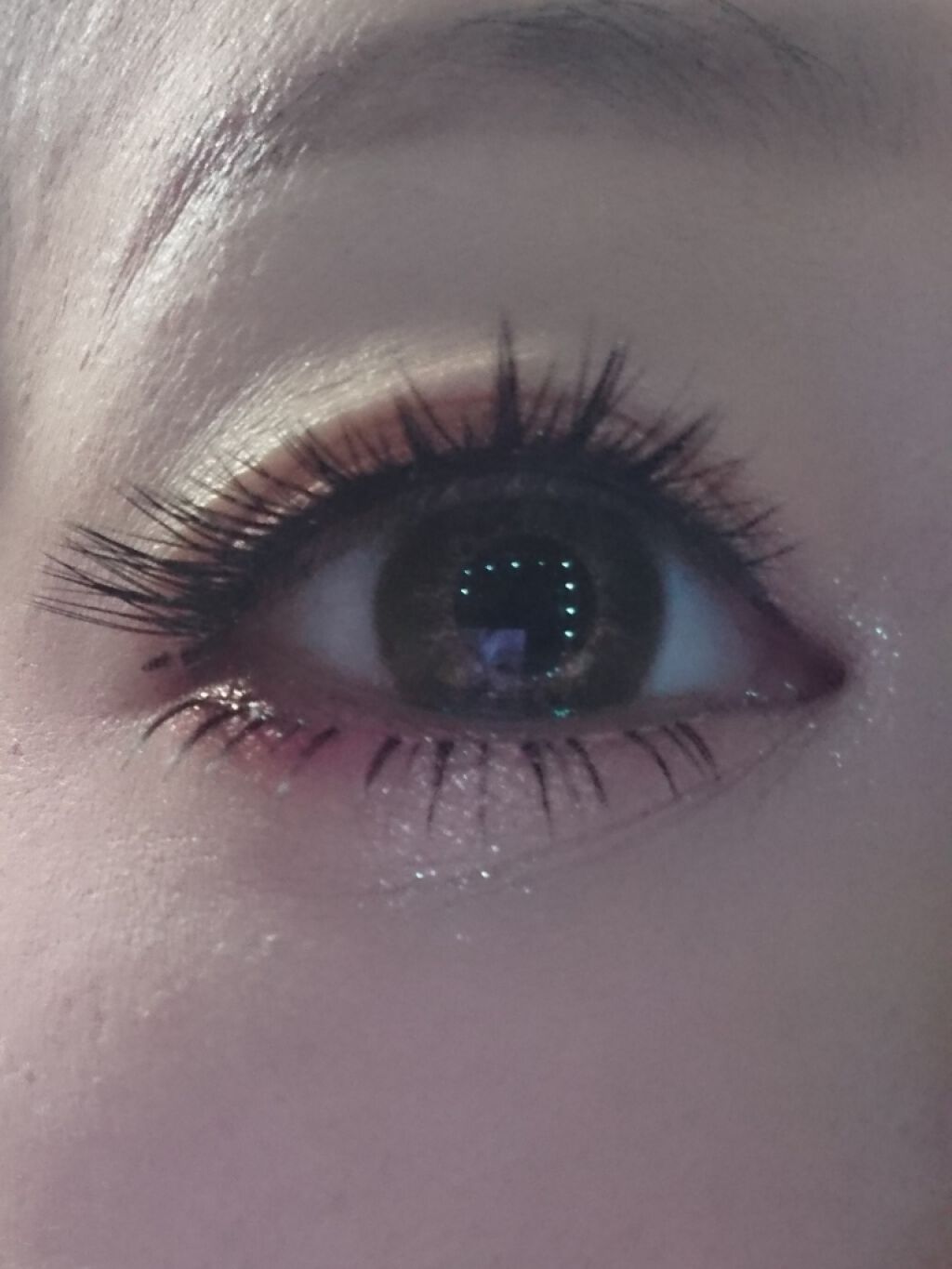 ピカシュウ アイ パレット - ブリック ブラスト/shu uemura/アイシャドウパレットを使ったクチコミ（1枚目）