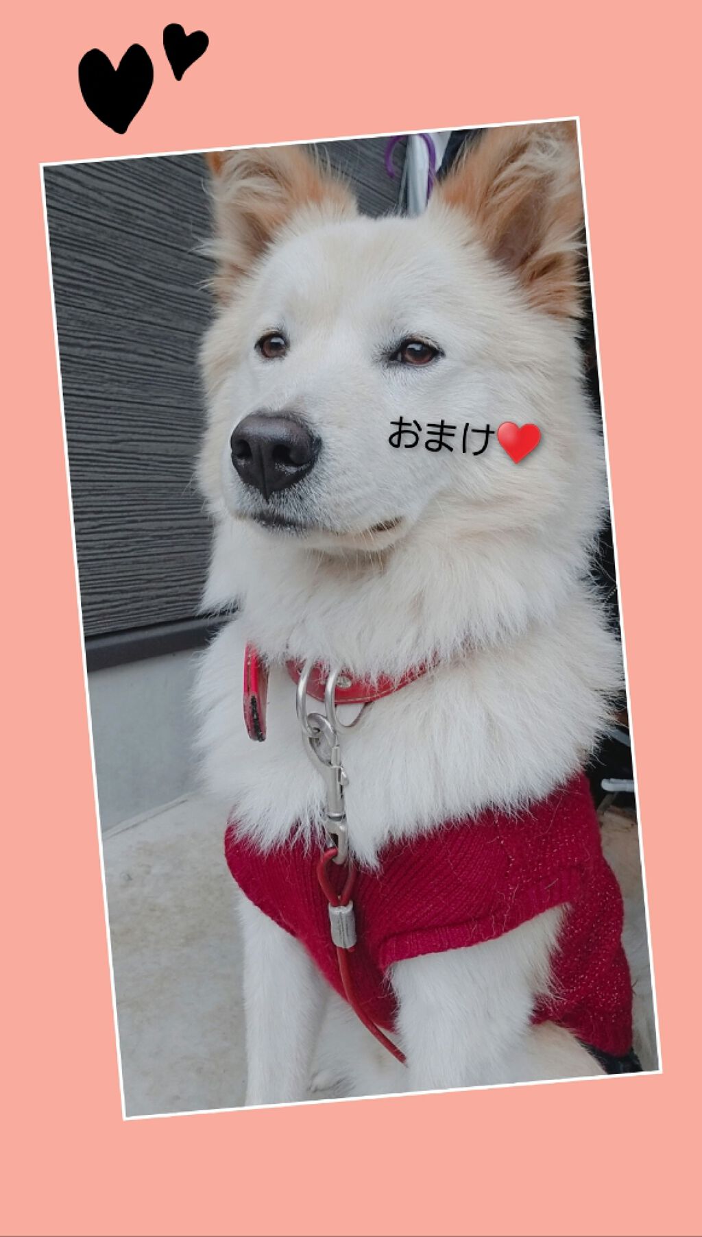 ビューティーボックス/LANCOME/メイクアップキットを使ったクチコミ（1枚目）