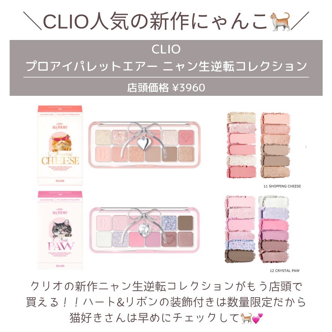 プロ アイ パレット エアー/CLIO/アイシャドウパレットを使ったクチコミ（2枚目）